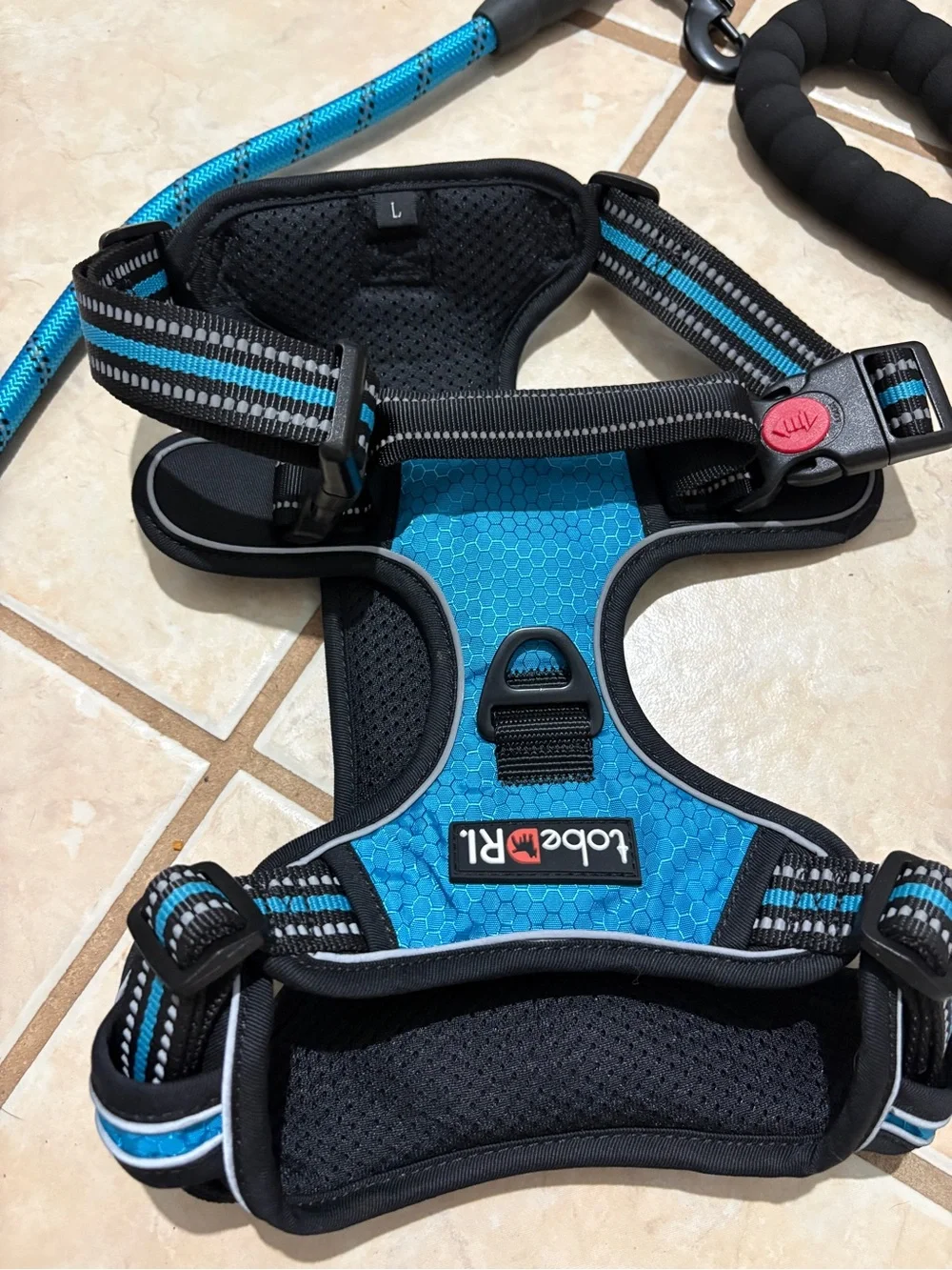 Blue Dog Large Harness and Leash Set